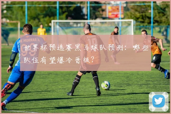世界杯预选赛黑马球队预测：哪些队伍有望爆冷晋级？